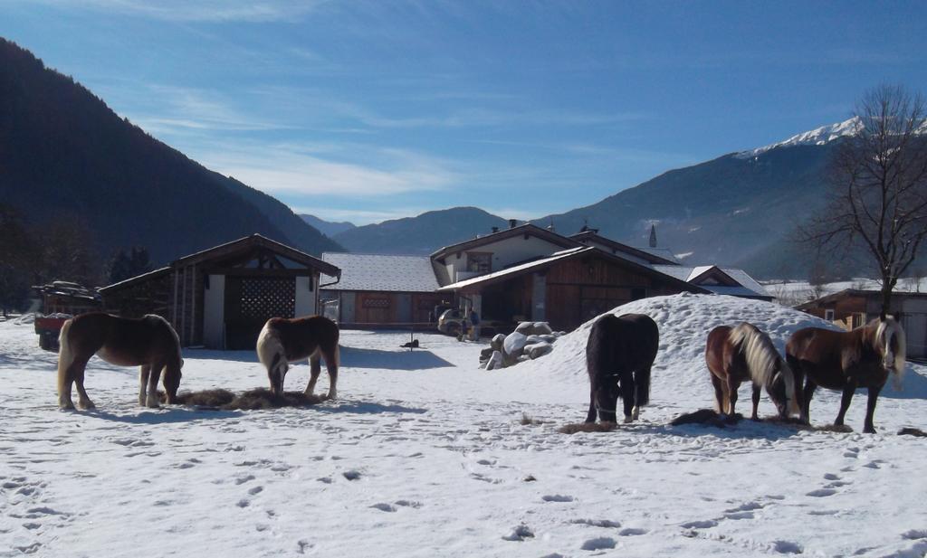 Agriturismo Maso Grisun Borzago ภายนอก รูปภาพ