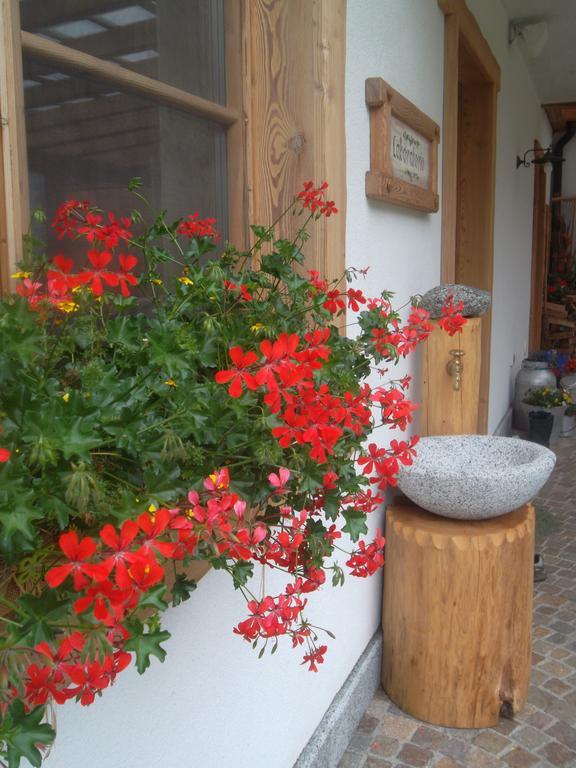 Agriturismo Maso Grisun Borzago ห้อง รูปภาพ