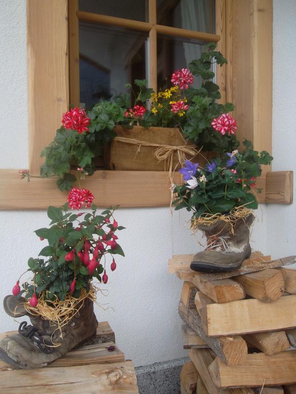 Agriturismo Maso Grisun Borzago ภายนอก รูปภาพ
