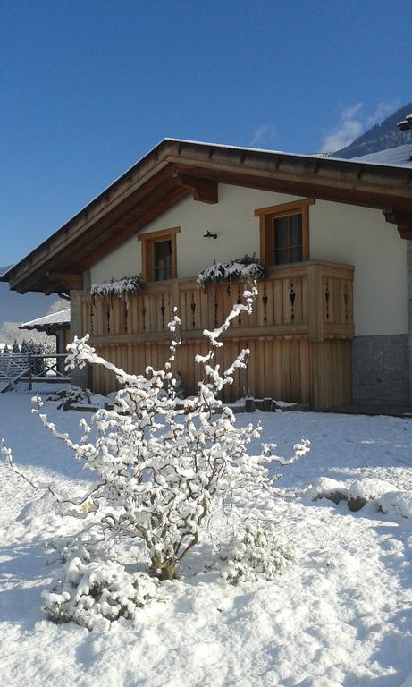 Agriturismo Maso Grisun Borzago ภายนอก รูปภาพ