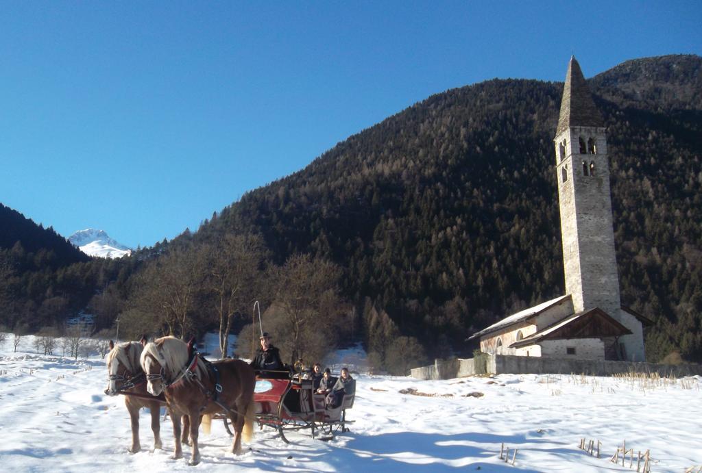 Agriturismo Maso Grisun Borzago ภายนอก รูปภาพ