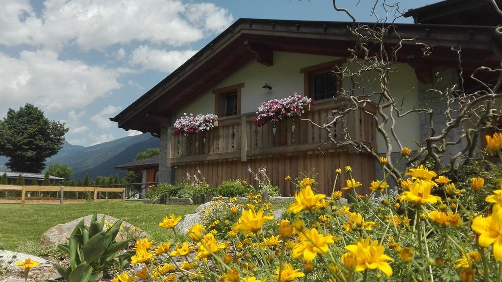 Agriturismo Maso Grisun Borzago ภายนอก รูปภาพ