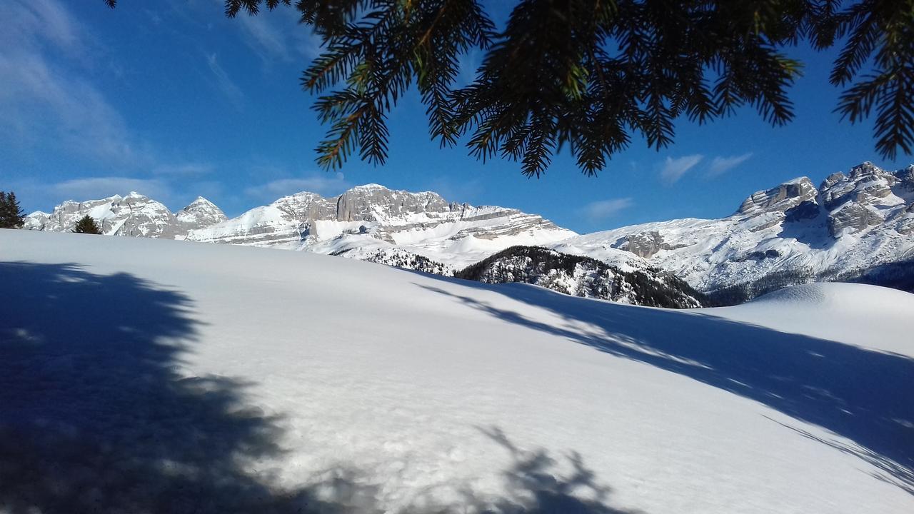 Agriturismo Maso Grisun Borzago ภายนอก รูปภาพ