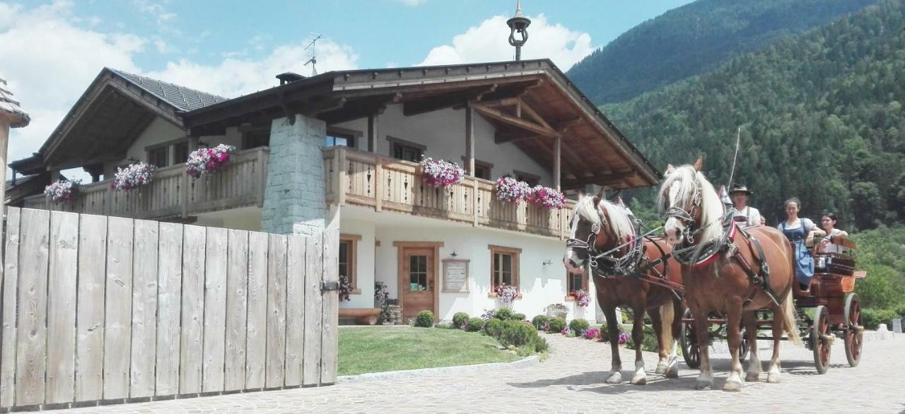 Agriturismo Maso Grisun Borzago ภายนอก รูปภาพ